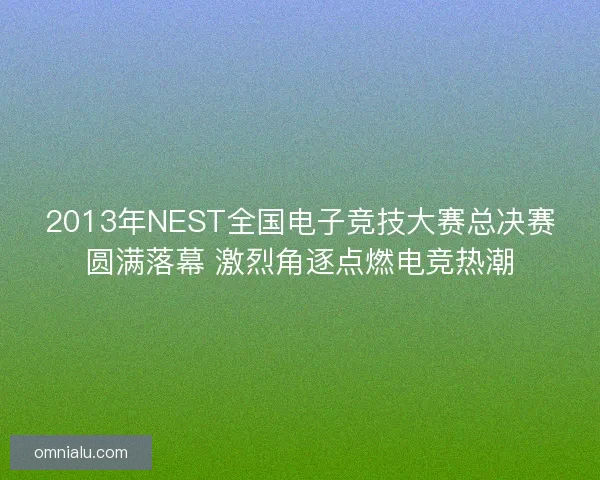2013年NEST全国电子竞技大赛总决赛圆满落幕 激烈角逐点燃电竞热潮