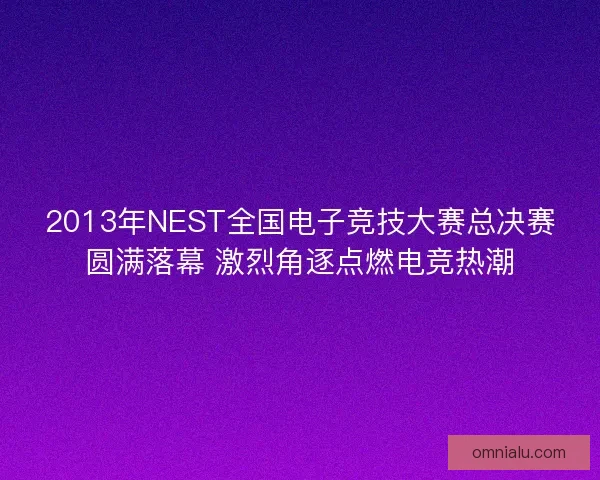 2013年NEST全国电子竞技大赛总决赛圆满落幕 激烈角逐点燃电竞热潮